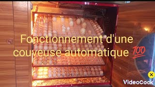 Comment fonctionne une couveuse automatique 💯 bennieagroltd agriculteursmodernes incubator [upl. by Eislel]