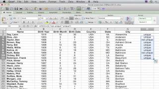 How to Count the Number of Unique Values in a List in Excel  Using Excel [upl. by Okimuy]