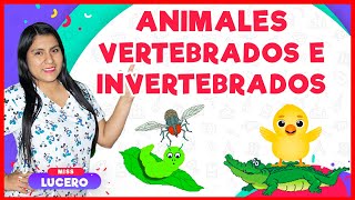 Animales Vertebrados e Invertebrados  Miss Lucero [upl. by Mcclelland]