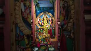 Durga Amma video [upl. by Anaujahs]