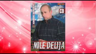 Mile Delija  Pusto polje  Audio 2006 [upl. by Annaik604]