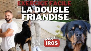 La double friandise  EXERCICE pour chien FACILE [upl. by Laktasic]