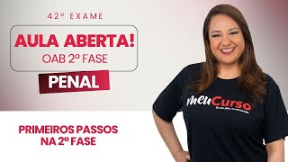 Primeiros passos na 2ª Fase em Penal  Profª Marcelle Tasoko  MeuCurso [upl. by Brok]