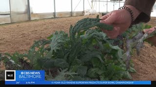 Maryland Department of Agricultures program links people to local farms fresh produce [upl. by Ahsiniuq]