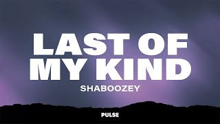 Shaboozey  Last Of My Kind Lyrics feat Paul Cauthen [upl. by Ydnim560]