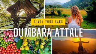 දුම්බර අට්ටාලේ 🛖🏕️  Dumbara Attale Sri Lanka  Ready Your Bags [upl. by Ameerahs]