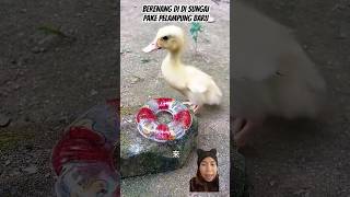 BERENANG DI KOLAM PAKE PELAMPUNG BARU‼️ funny duck woodworking funny dubbing shortvideo [upl. by Ayatan583]