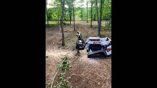 Check out what our customer sent us Our forestry mulcher vs their tree [upl. by Auqkinahs]