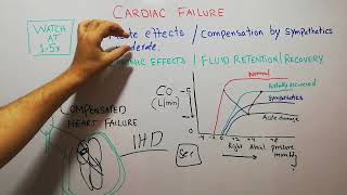 CVS 215  Compensated heart failure  cardiac reserveDr chamkani [upl. by Teloiv972]