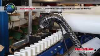 BeltQuip  Plastic conveyor belts can be fitted with corrugated side walls [upl. by Barfuss]