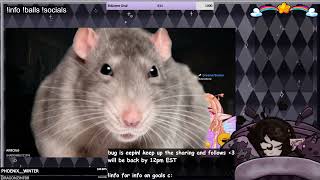 FOLLOW BUG DAY 13  18  Bug obsessed and clinically depressed  balls youtub Part 12 [upl. by Ayatahs189]