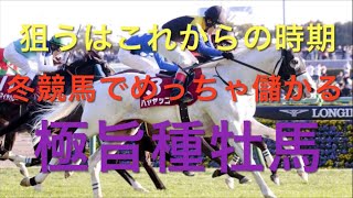 【競馬】冬競馬でめっちゃ儲かる種牡馬【競馬検証】 [upl. by Oirevlis882]