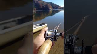 lake fishing Abu5000c heddon Crazy crawler [upl. by Aguste448]