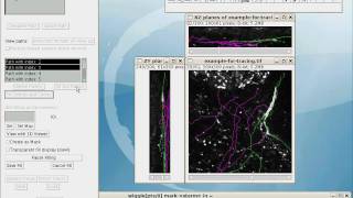 Simple Neurite Tracer  fitting centres and filling [upl. by Blayze711]