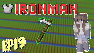 Ironman Skyblock  My First Farming Tool  Ep19 [upl. by Aissilem]