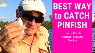 How to Catch Pin Fish  Fishing Florida [upl. by Rothstein]