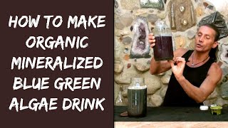 How To Make Organic Mineralized Blue Green Algae Drink  Dr Robert Cassar [upl. by Nasho]