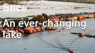 Tonlé Sap Lake An Ecosystem in Delicate Balance  SLICE [upl. by Lledrac]