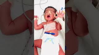 Crying newborn baby  hungry newborn baby crying for milk 🥛 newbornbaby crying [upl. by Annoel]