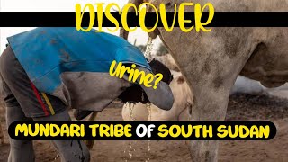 This tribe showers with cow urine The Mundari Tribe of South Sudan [upl. by Hallette815]