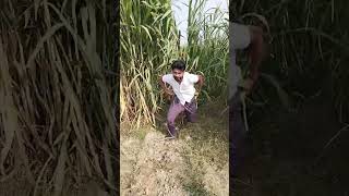 Wait for end 😂😂 shortvideos viralshort trendingshorts funnyvideo [upl. by Meece]