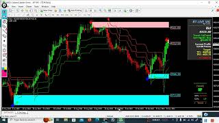 Month of Nov 2024 TCS Profit Update Book Profit 350 [upl. by Etteyniv]