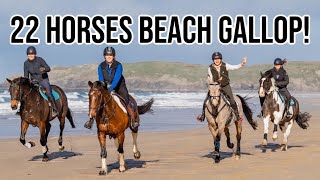 22 HORSES  BEACH GALLOP [upl. by Bathilda]