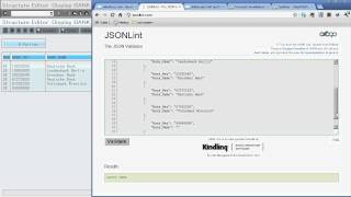 JSON based http request to call SAP RFCs and BAPIs [upl. by Gardell]