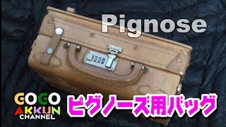 ピグノーズアンプ入れてます！ ミニバッグ Pignose 7100R [upl. by Robers]