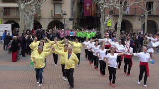 Concurs de colles sardanistes Balaguer Cobla Maravella [upl. by Sayles972]