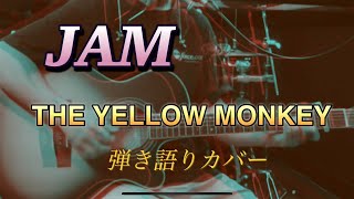 JAMTHE YELLOW MONKEY 弾き語りカバー [upl. by Ennayar]