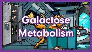 Galactose Metabolism Mnemonic  USMLE Preview [upl. by Leban]