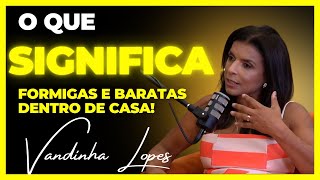 FORMIGAS E BARATAS DENTRO DE CASA O QUE SIGNIFICA com VANDINHA LOPES [upl. by Dail]