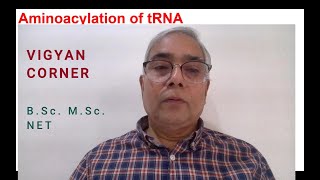 AMINOACYLATION OF tRNA [upl. by Sherfield]