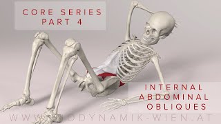 Core Series Part 4 Internal Abdominal Obliques Muscles 3D Animation [upl. by Giah18]