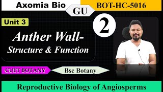 Anther wall Structure amp Function Reproductive Biology 5th sem GU Bsc Botany Axomia Bio [upl. by Lee]