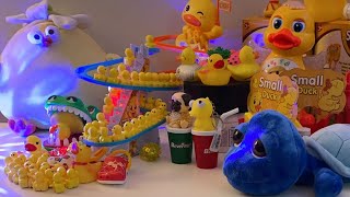 LET’S PLAY asmr asmrsounds asmrvideo satisfying relaxing toys duck cute play show shorts [upl. by Adiell]