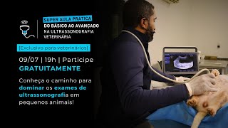 Super Aula do Básico ao Avançado na Ultrassonografia Veterinária [upl. by Beitz]