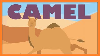 Camel Song 🐪  Extraordinary Dromedary Fun Animal Song for Kids │ Smiley Rhymes [upl. by Arayc]