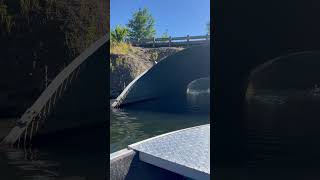 travel funny fishing Clackamas River 🌊 [upl. by Hplar]