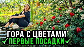 ПЕРВЫЕ ЦВЕТОЧНЫЕ ПОСАДКИ В СЛОЖНЫЙ ГРУНТ НА ГОРЕ [upl. by Rusty]