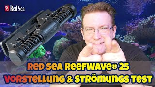 📢Red Sea ReefWave®25 👉Vorstellung  Strömungs Test👈 [upl. by Fesoj711]