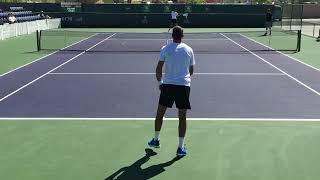 左利き編集、デルポトロのフォアハンドストローク（スロー） Juan Martin Del Potro Forehand Stroke Slow Motion【Lefty】 [upl. by Bennet915]