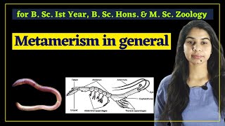 Metamerism in general II Zoology II B Sc [upl. by Launame]