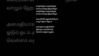 Amaithiyaana Nadhiyinile 💙lyrics [upl. by Anicnarf431]