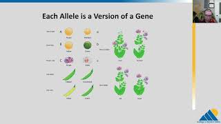 BIOL201 Ch111  The Process of Meiosis [upl. by Yenal8]