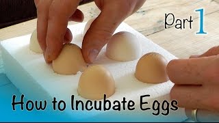 How to Incubate and Hatch Eggs  Part 1 of 3  Setting up the Incubator [upl. by Baras513]