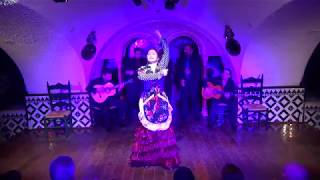 Karime Amaya en Tablao Flamenco Cordobes 11052018 [upl. by Asiluy967]