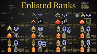 US Military All Branches ENLISTED Ranks Explained [upl. by Adaurd]