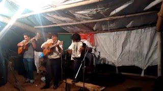 LOS CHAMAMECEROS DEL ALBA EN VIVO [upl. by Breskin]